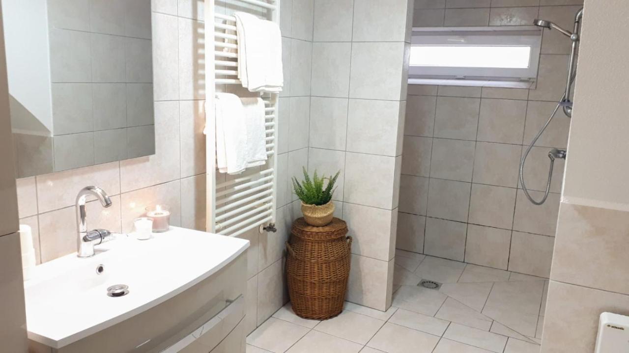 Chez Pinoche Apartment Gertwiller Екстериор снимка