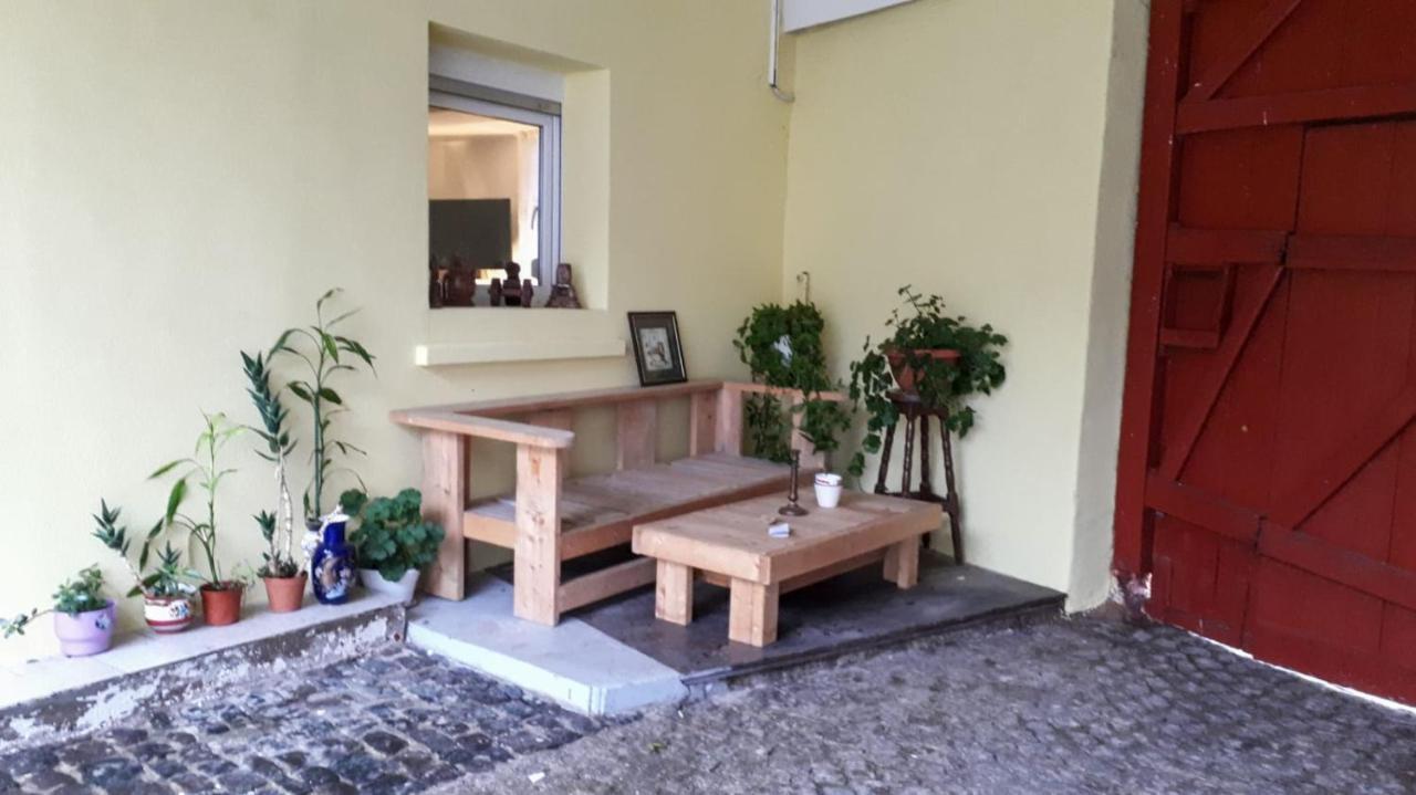 Chez Pinoche Apartment Gertwiller Екстериор снимка
